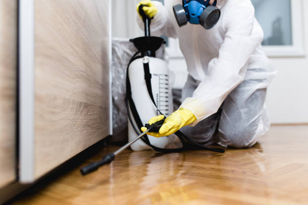 Best Exterminator Services  in Fair Oaks Ranch, TX